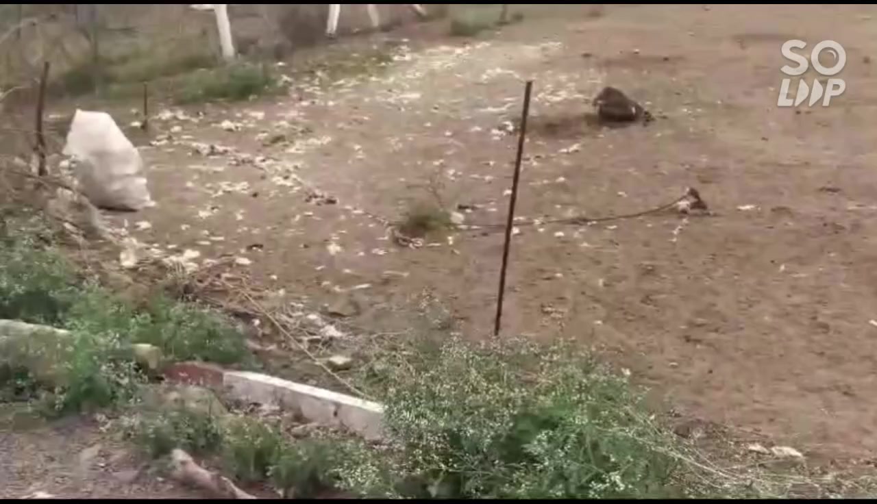 Plot For Sale  In Sairaj Ci...