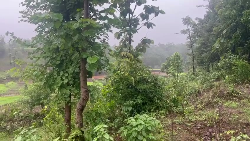 Plot For Sale  In Thane West