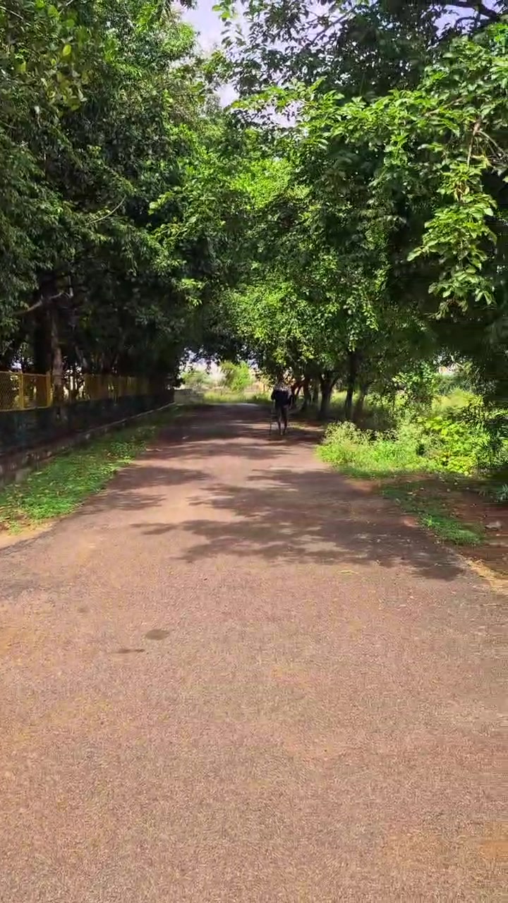 Plot For Sale  In Arshinakunte