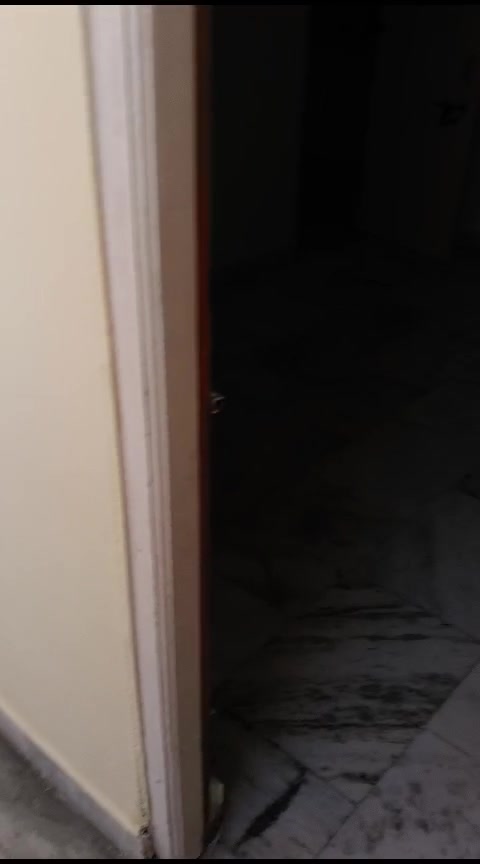 2 BHK Flat In Kalakoti Resi...
