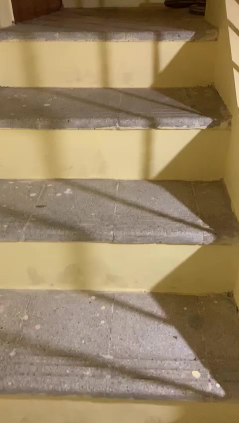 1 BHK House for Rent  In 6t...