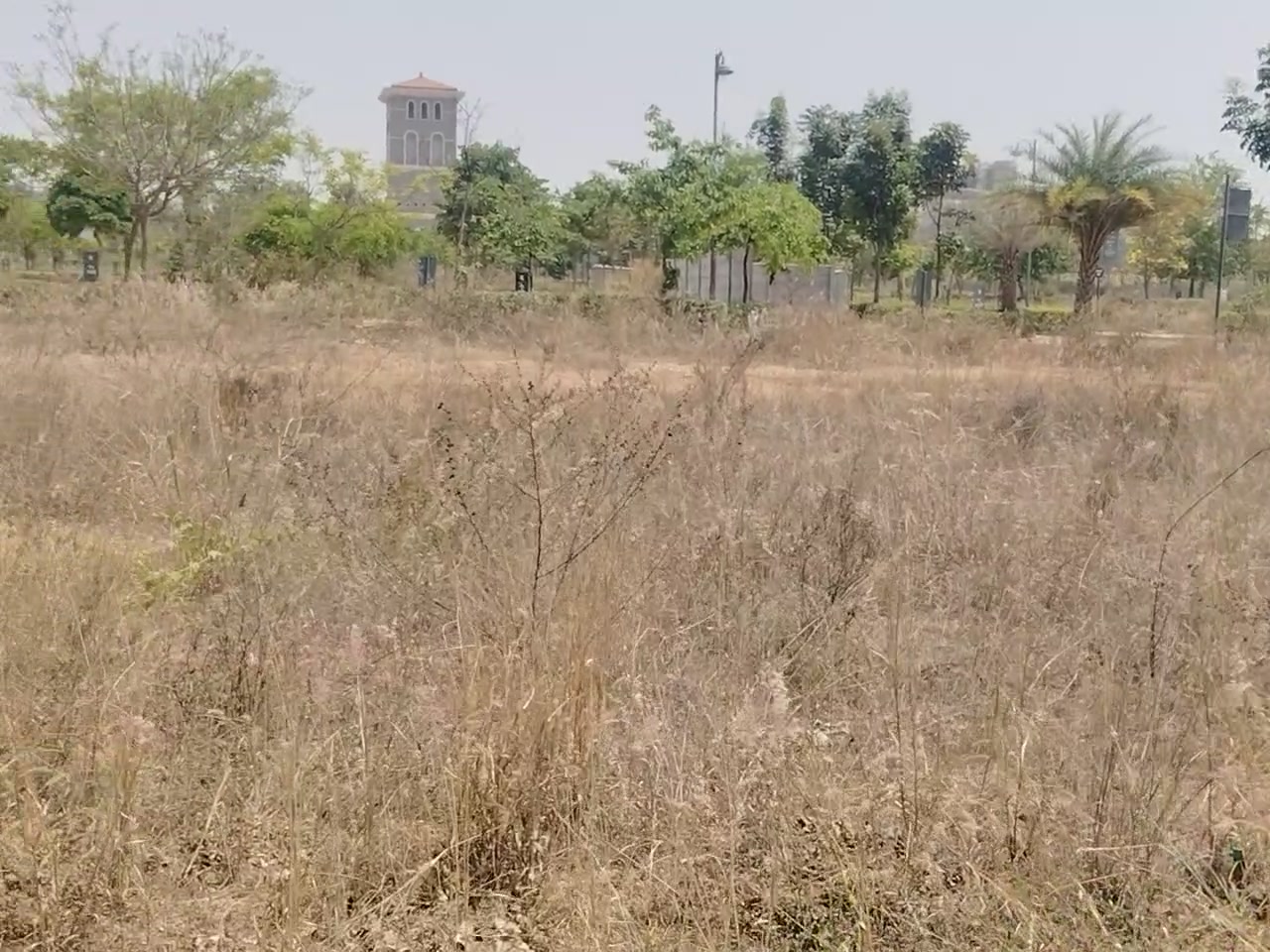 Plot For Sale  In Tivolli H...