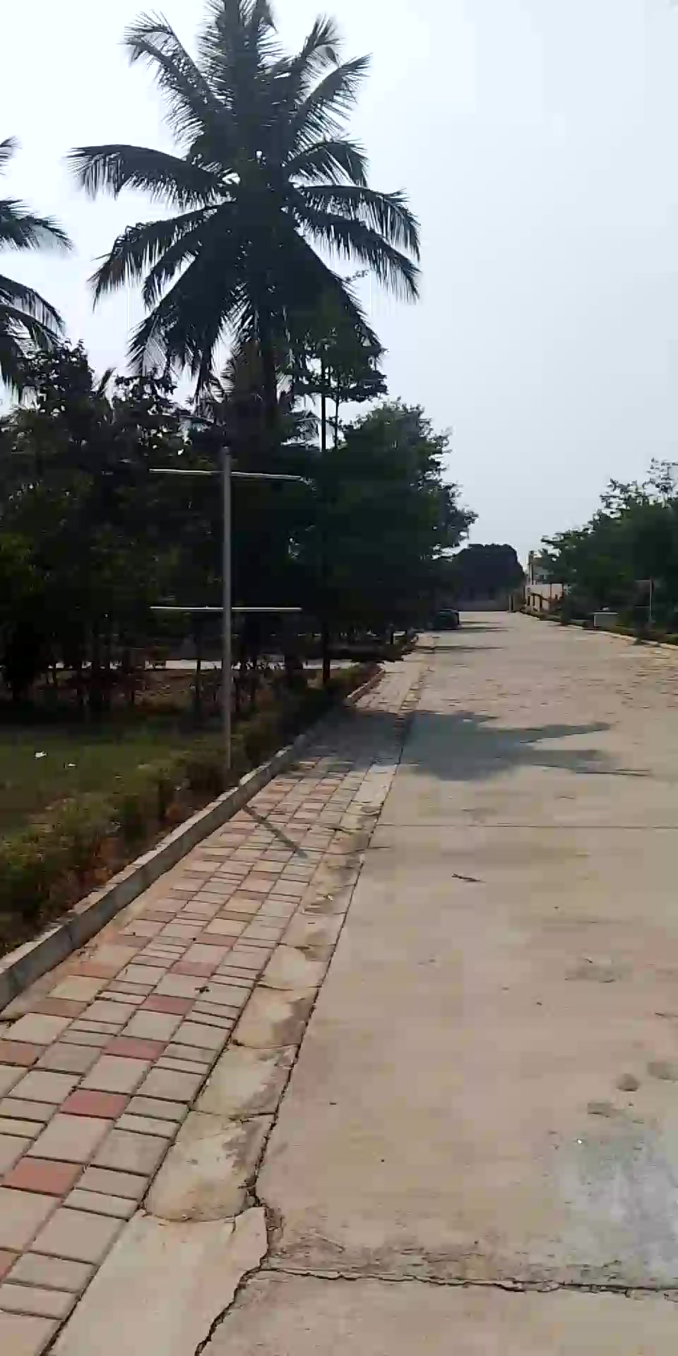 Plot For Sale  In Forest In...