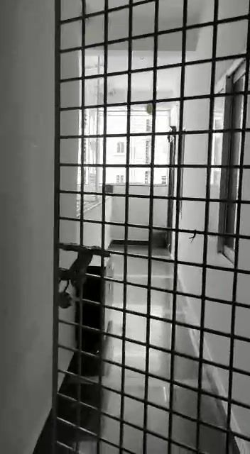 3 BHK Flat In Pvr Enclave f...