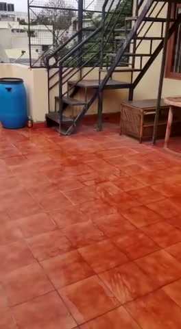 2 BHK Flat In Standalone Bu...