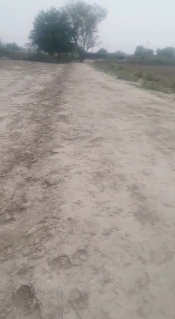 Plot For Sale  In Mundka,