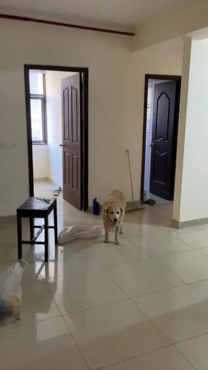 3 BHK Flat In Charms Castle...