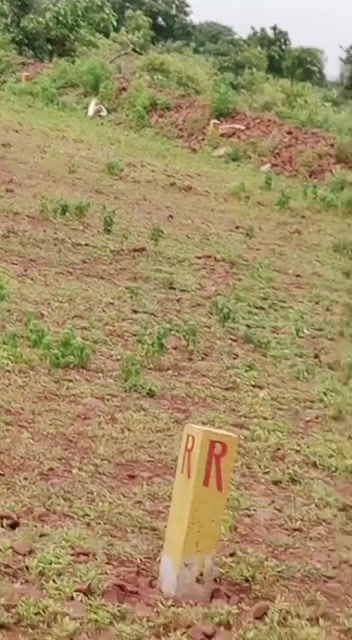 Plot For Sale  In Farmhouse...