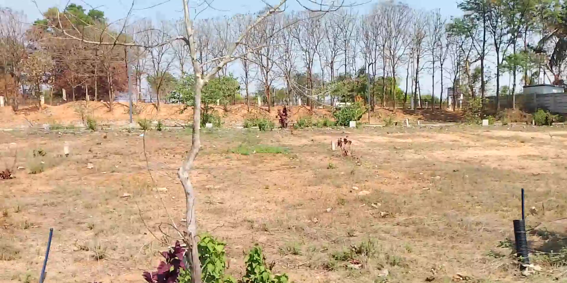 Plot For Sale  In Century G...