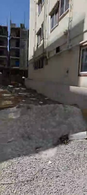 Plot For Sale  In Prithvi L...