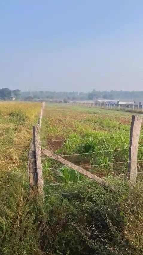 Plot For Sale  In Nelamanga...