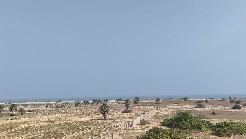 Plot For Sale  In Manju Blu...