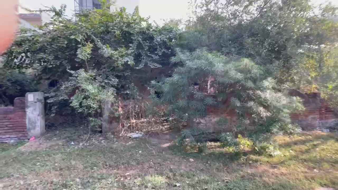 Plot For Sale  In C Block O...