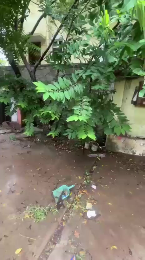 Plot For Sale  In David Cas...