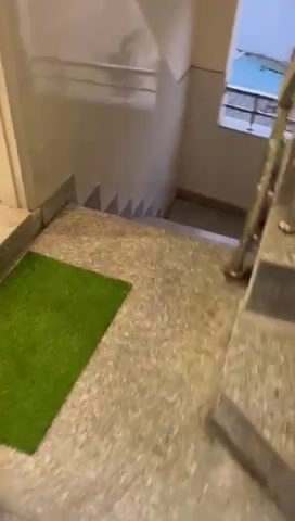 3 BHK Flat In Inderlok for ...