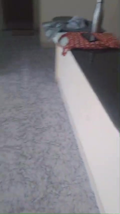 1 BHK Flat In Shravani Gard...