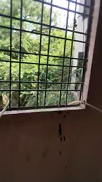 1 RK Flat In Sharma Pg for ...