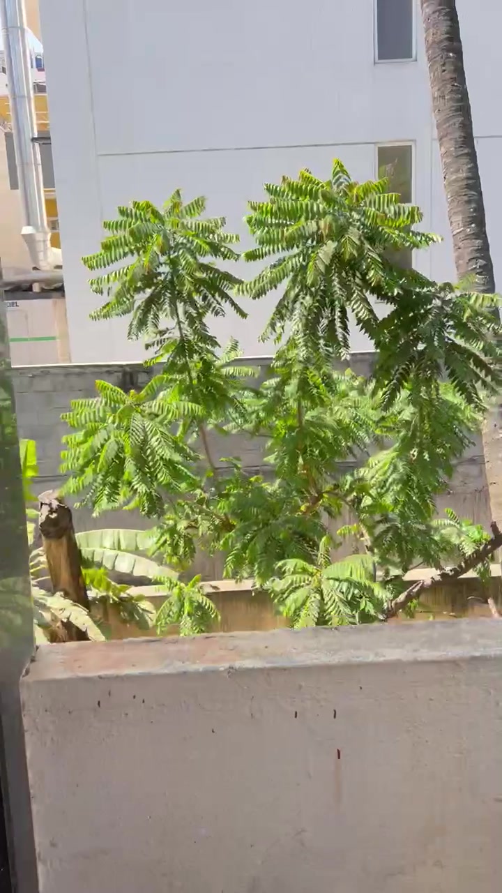 1 RK House for Rent  In Pul...