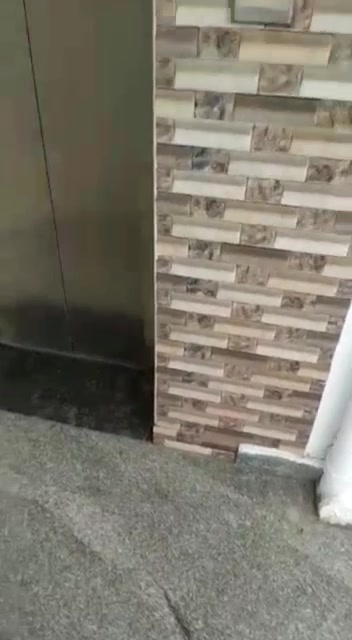 3 BHK House for Rent  In  B...